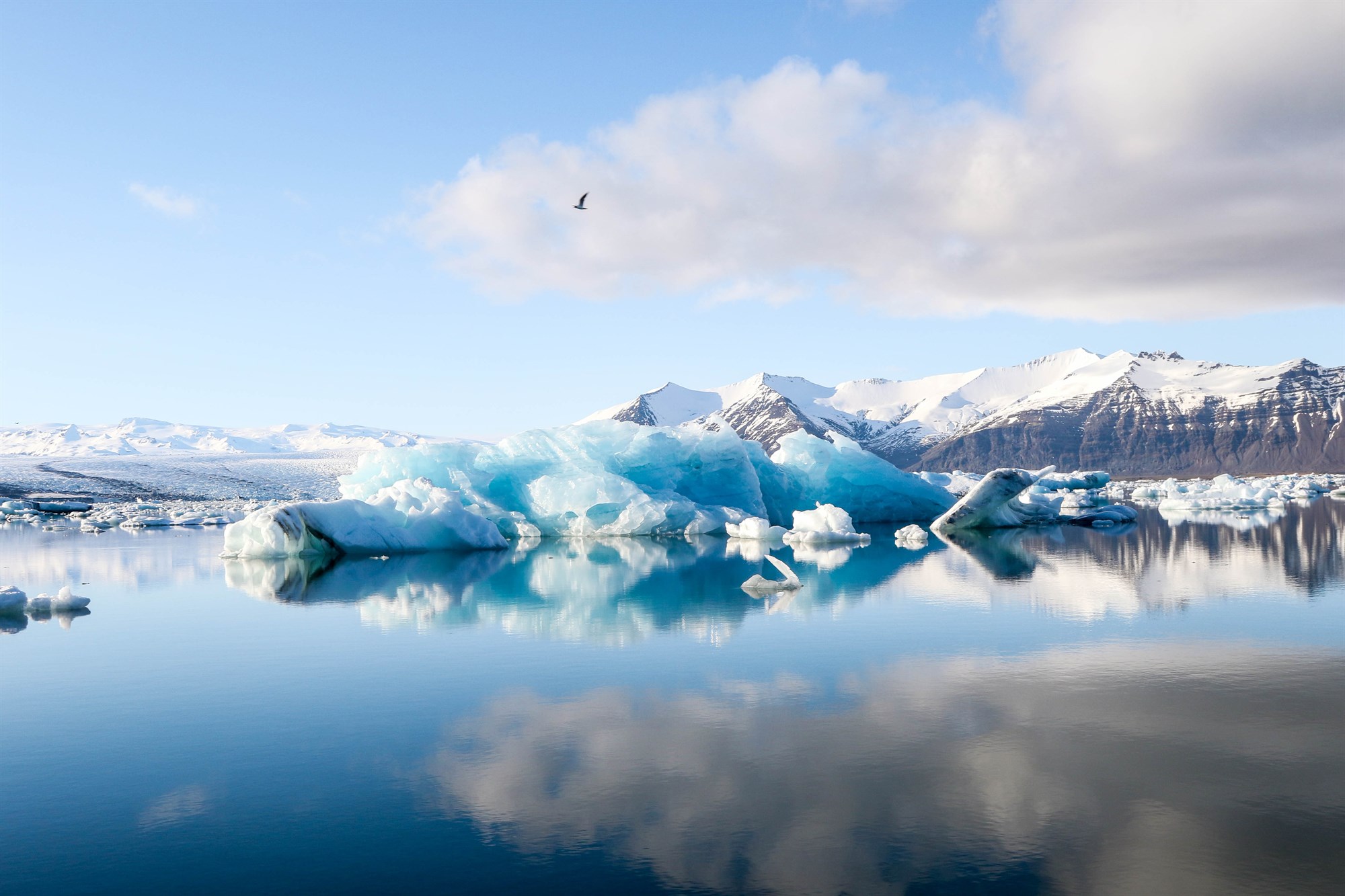 Icelandic floating icebergs on a glacial lake.